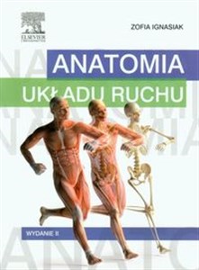 Anatomia układu ruchu books in polish