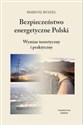 Bezpieczeństwo energetyczne Polski Wymiar teoretyczny i praktyczny bookstore