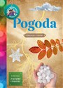 Młody Obserwator Przyrody. Pogoda  to buy in USA