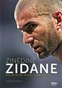 Zinedine Zidane Sto dziesięć minut, całe życie pl online bookstore