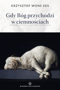 Gdy Bóg przychodzi w ciemnościach Lectio divina do czterech nocy zbawienia Polish Books Canada