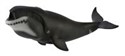Wieloryb grenlandzki XL  - 