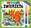 Mały artysta koloruje zwierzęta Polish bookstore