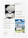 Kościoły i kaplice na Wołyniu z obrazami Włodzimierza Sławosza Dębskiego Polish Books Canada