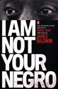 I Am Not Your Negro polish books in canada