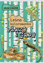 Płazy i gady. Leśna kolorowanka - Katarzyna Kopiec-Sekieta