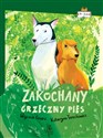 Zakochany grzeczny pies - Wojciech Cesarz, Katarzyna Terechowicz