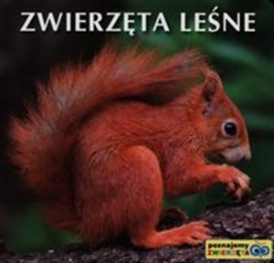 Zwierzęta leśne pl online bookstore
