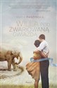 Willa pod zwariowaną gwiazdą - Polish Bookstore USA