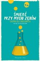Śmierć przy myciu zębów Polish Books Canada