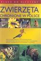 Zwierzęta chronione w Polsce polish books in canada