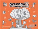 Greenman and the Magic Forest B Activity Book - Susannah Reed