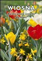 Wiosna Bardzo proste czytanki dla dzieci - Magdalena Hinz