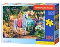 Puzzle Secret Trail 100 B-111114 - 