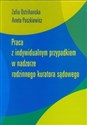 Praca z indywidualnym przypadkiem w nadzorze rodzinnego kuratora sądowego bookstore