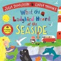 What the Ladybird Heard at the Seaside bookstore