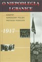 O niepodległą i granice Tom 6 Komitet Narodowy Polski Protokoły posiedzeń 1917-1919  