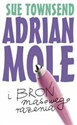 Adrian Mole i broń masowego rażenia online polish bookstore