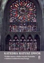 Katedra, ratusz, dwór. Wielkie miasta a władza świecka i kościelna w kulturze średniowiecznej Europy buy polish books in Usa