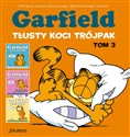 Garfield Tłusty koci trójpak Tom 3 chicago polish bookstore