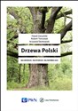 Drzewa Polski Najgrubsze Najstarsze Najsłynniejsze chicago polish bookstore