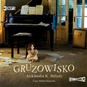 [Audiobook] CD MP3 Gruzowisko - Aleksandra Katarzyna Maludy