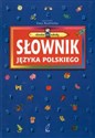 Słownik języka polskiego Chodzę do szkoły to buy in USA