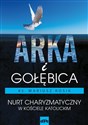 Arka i Gołębica Nurt charyzmatyczny w Kościele katolickim - Mariusz Rosik