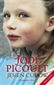 Jesień cudów - Jodi Picoult