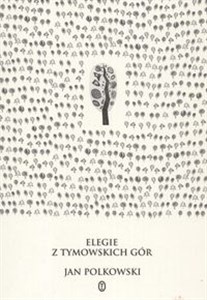 Elegie z Tymowskich Gór 1987 - 1989 Polish bookstore