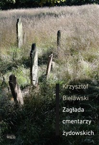 Zagłada cmentarzy żydowskich Polish bookstore