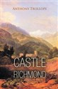 Castle Richmond  polish books in canada