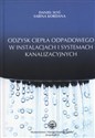 Odzysk ciepła odpadowego w instalacjach i systemach kanalizacyjnych - Daniel Słyś, Sabina Kordana Polish Books Canada