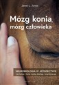 Mózg konia, mózg człowieka Neurobiologia w jeździectwie - Janet L. Jones