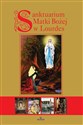 Sanktuarium Matki Bożej w Lourdes polish usa