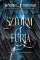 Sztorm i Furia chicago polish bookstore