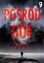 Pośród gór  - Amy Stuart