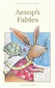 Aesop's Fables pl online bookstore