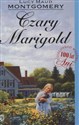 Czary Marigold bookstore