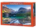 Puzzle Lake OHara, Canada 1000 polish books in canada