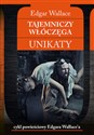 Tajemniczy włóczęga Unikaty Polish Books Canada