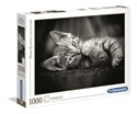 Puzzle Hugh Quality Collection Kitty 1000 - 