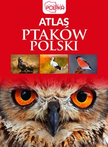 Atlas ptaków Polski 