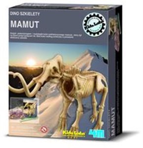 Dino szkielety Mamut Polish Books Canada