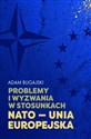 Problemy i wyzwania w stosunkach NATO - Unia Europejska Bookshop