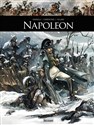 Napoleon - Noel Simsolo