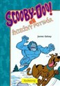 Scooby-Doo! i Śnieżny potwór polish usa