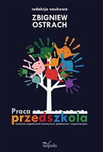 Praca przedszkola Wybrane zagadnienia teoretyczne, praktyczne i organizacyjne polish books in canada