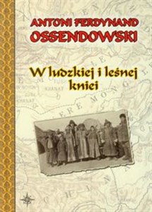 W ludzkiej i leśnej kniei polish usa