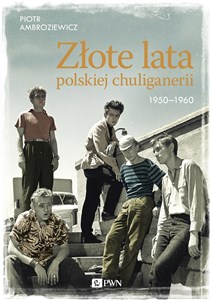 Złote lata polskiej chuliganerii. 1950-1960 pl online bookstore